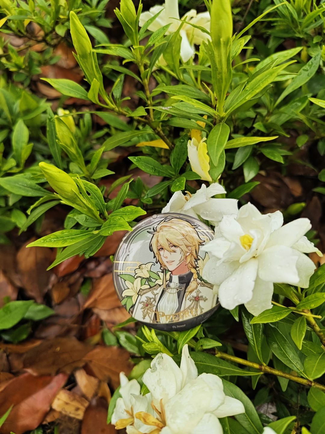 花与枯叶之间 1
