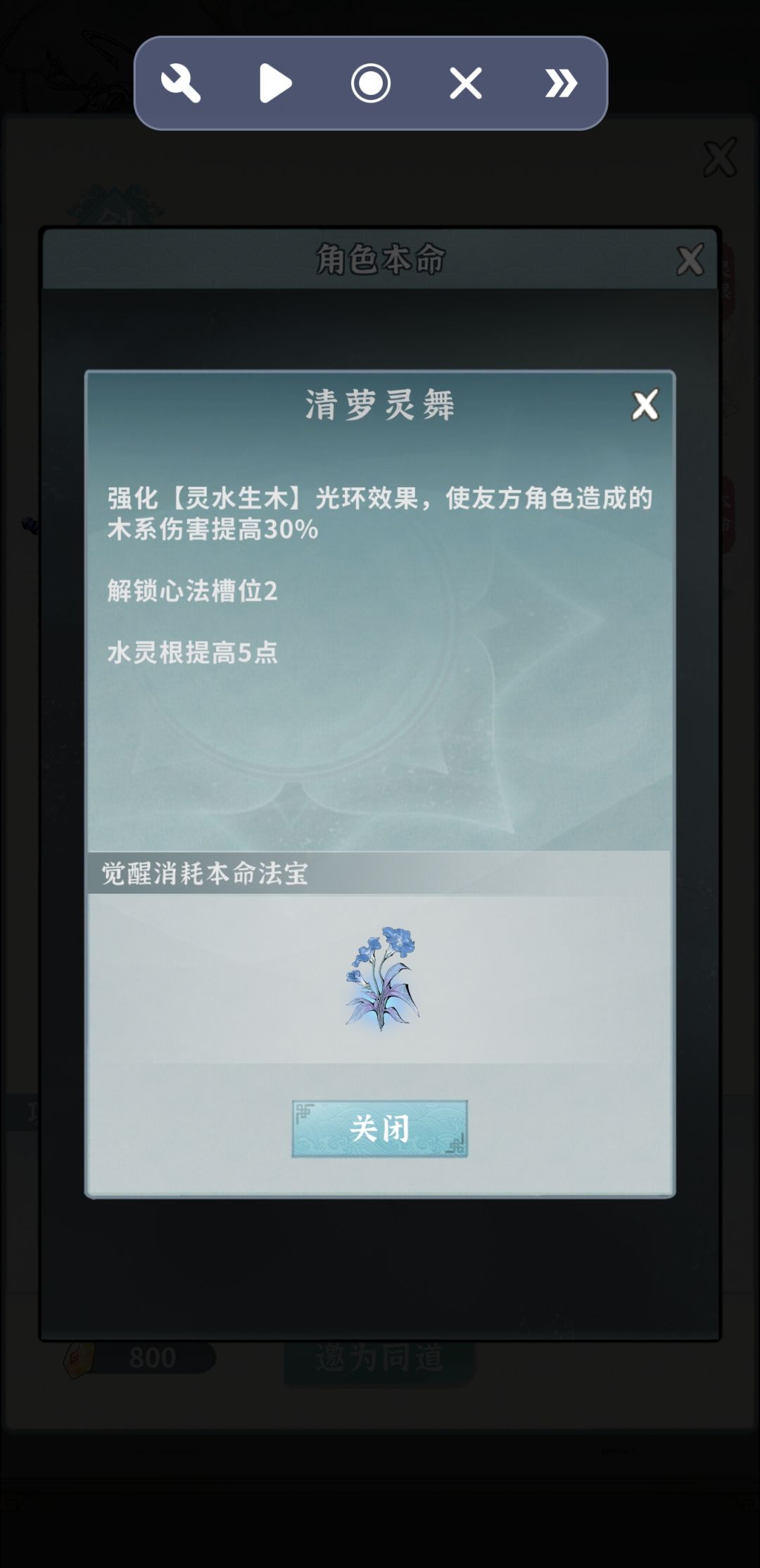 木剑伙伴 1
