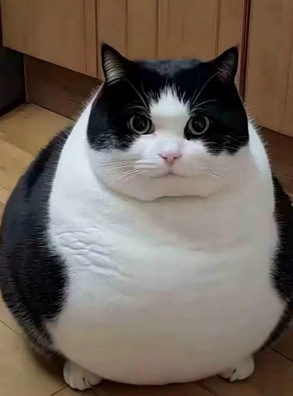 副本 1