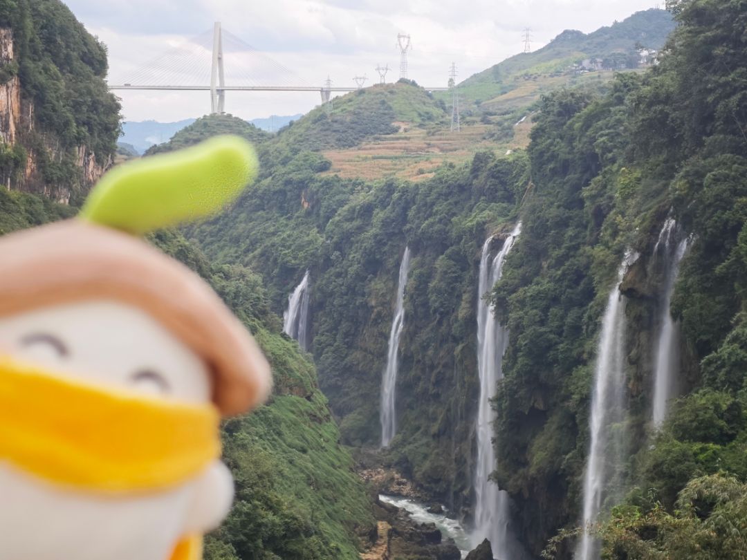 萝来贵州旅游啦! 5