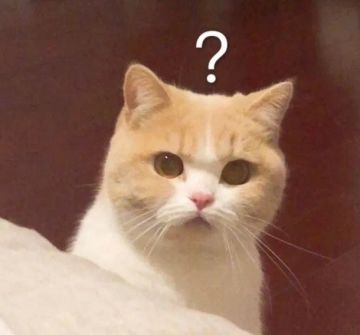 玩这游戏年龄段都是哪些个啊