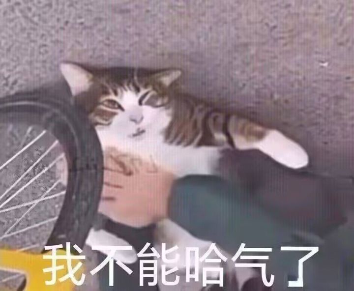 兄弟是时候加入我的组织了截图