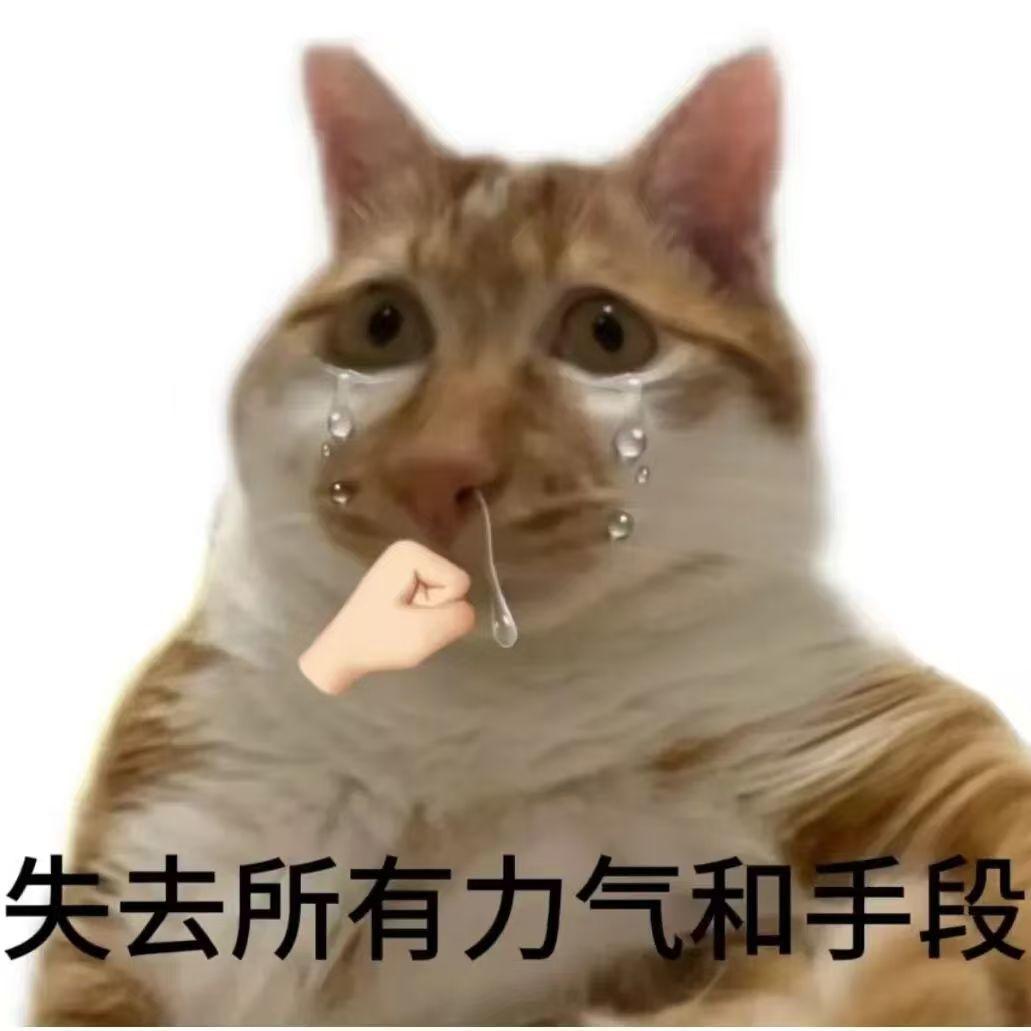 不好,孩子们 2