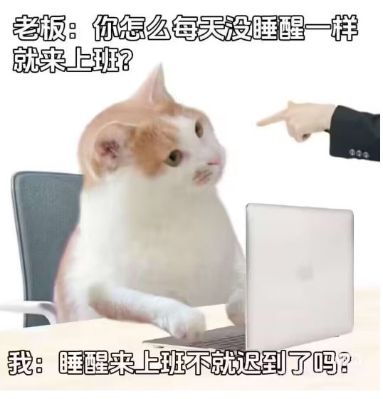 明天才上线昨天就下载截图