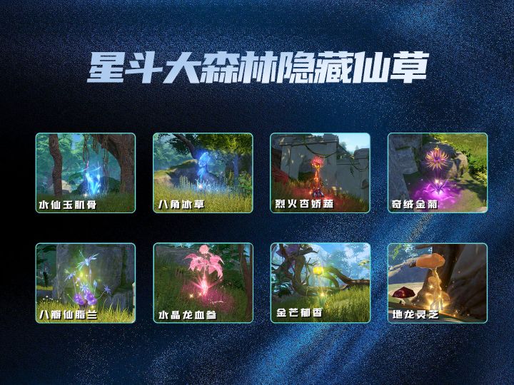 星斗大森林隐藏仙草位置截图