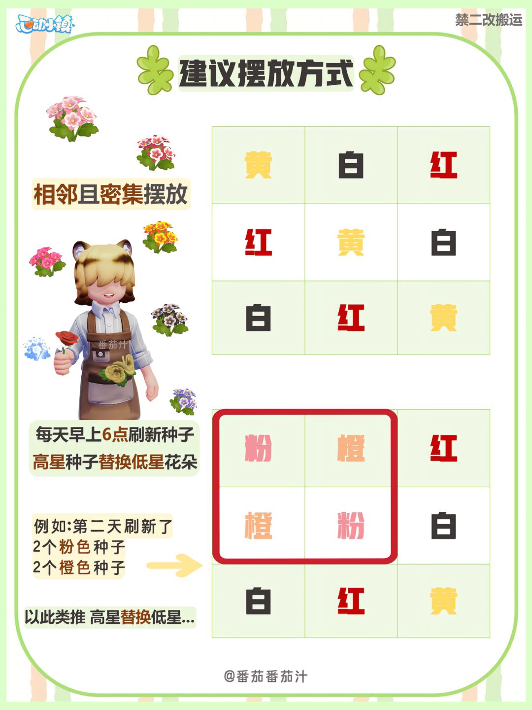 动物新邻季 限定猫爪花 杂交攻略图鉴 3