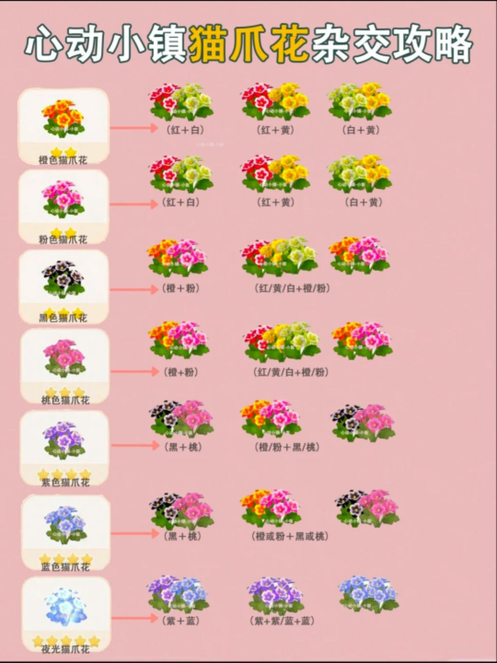 猫爪花培育攻略 1