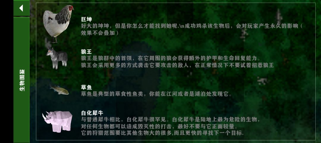 小黑子 1