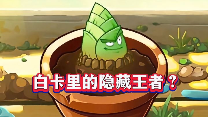 白卡里的隐藏王者?高手都在用!竹笋1-4阶实测截图