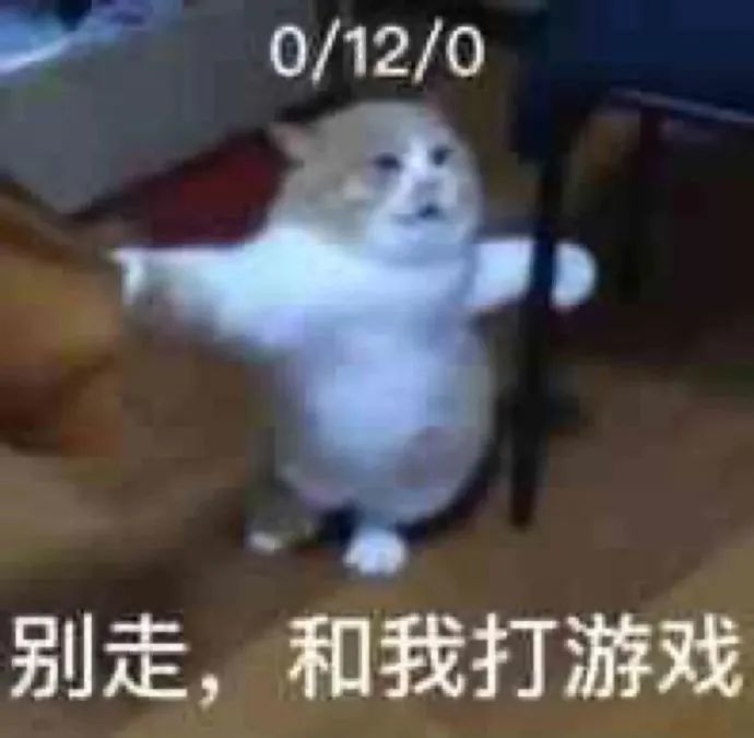 动态图片 4