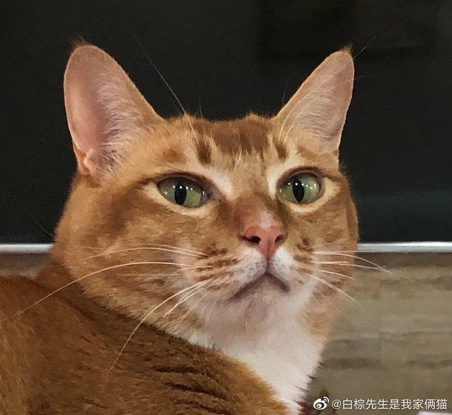 动态图片 9