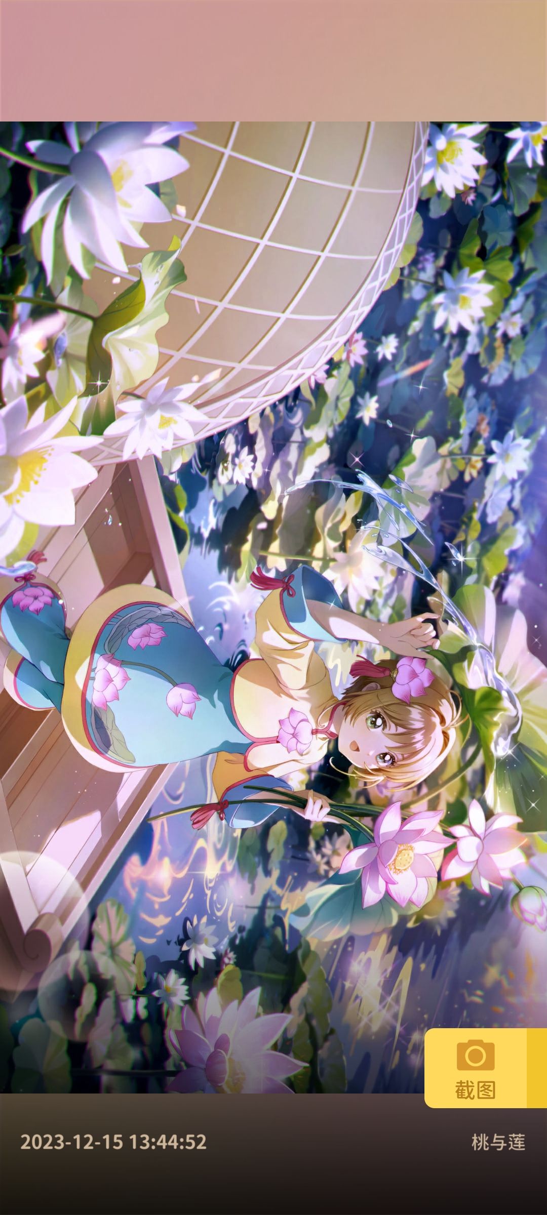韭菜 2