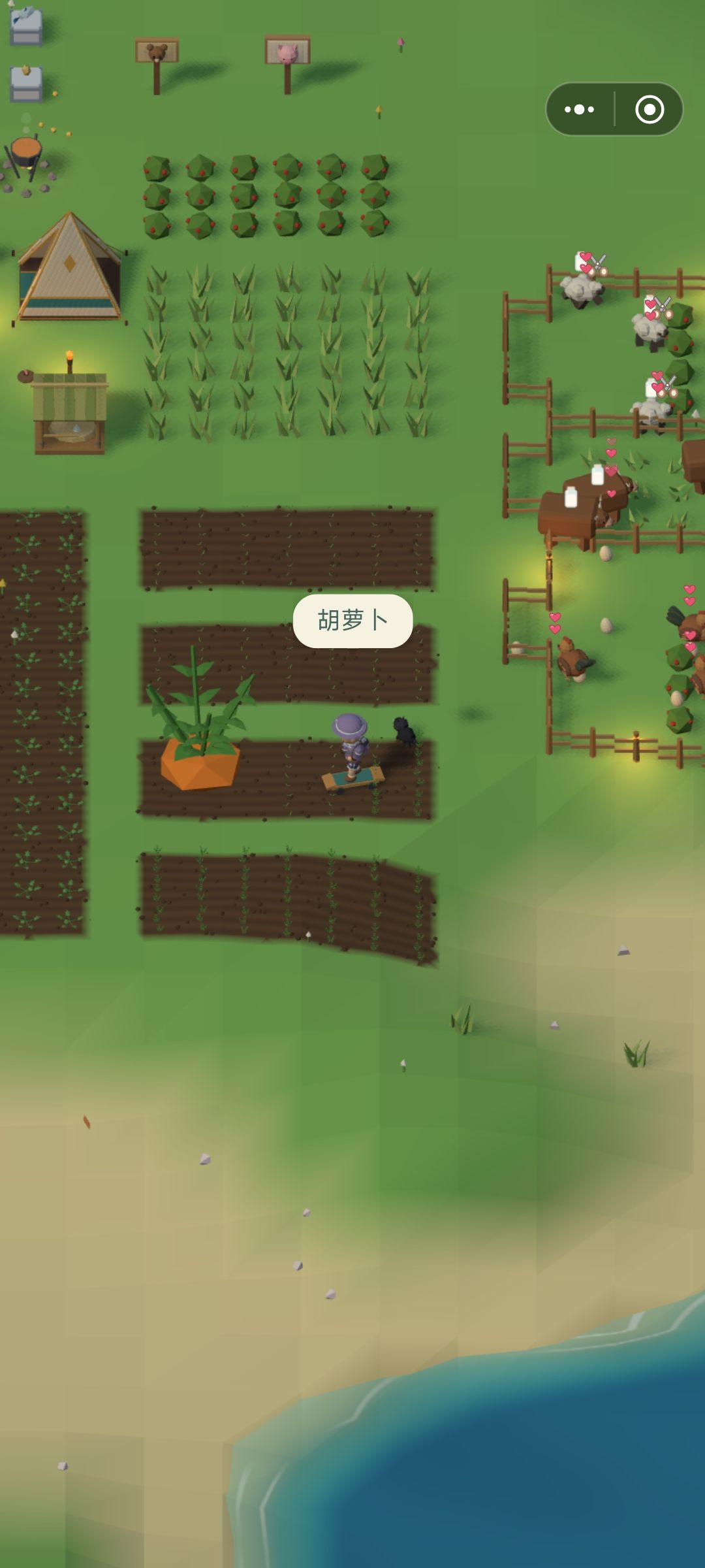 超大号胡萝卜🥕 1
