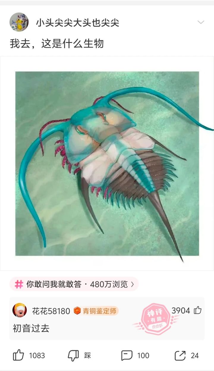 我来了截图