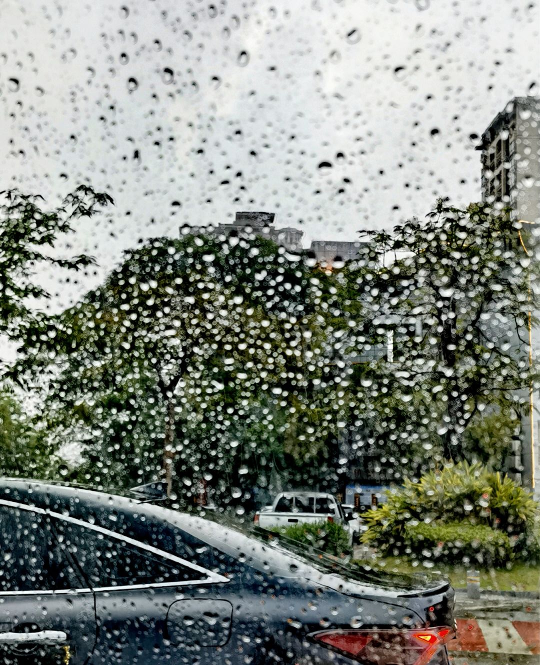 于烟雨朦胧中 2