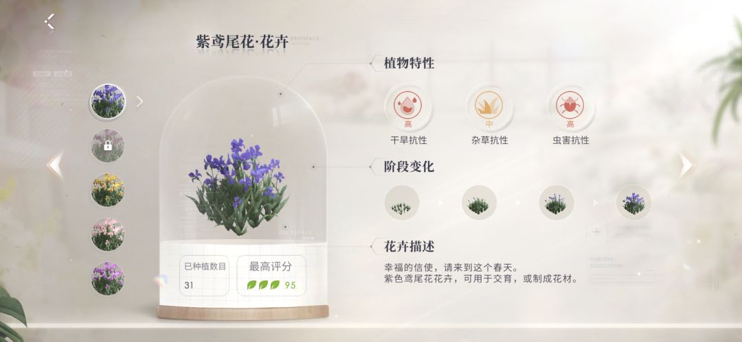 终于不用再种花了 2