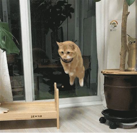 运势截图