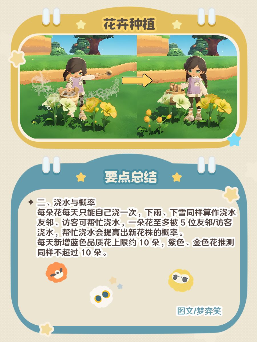 「星布谷地」异色花要点总结 3