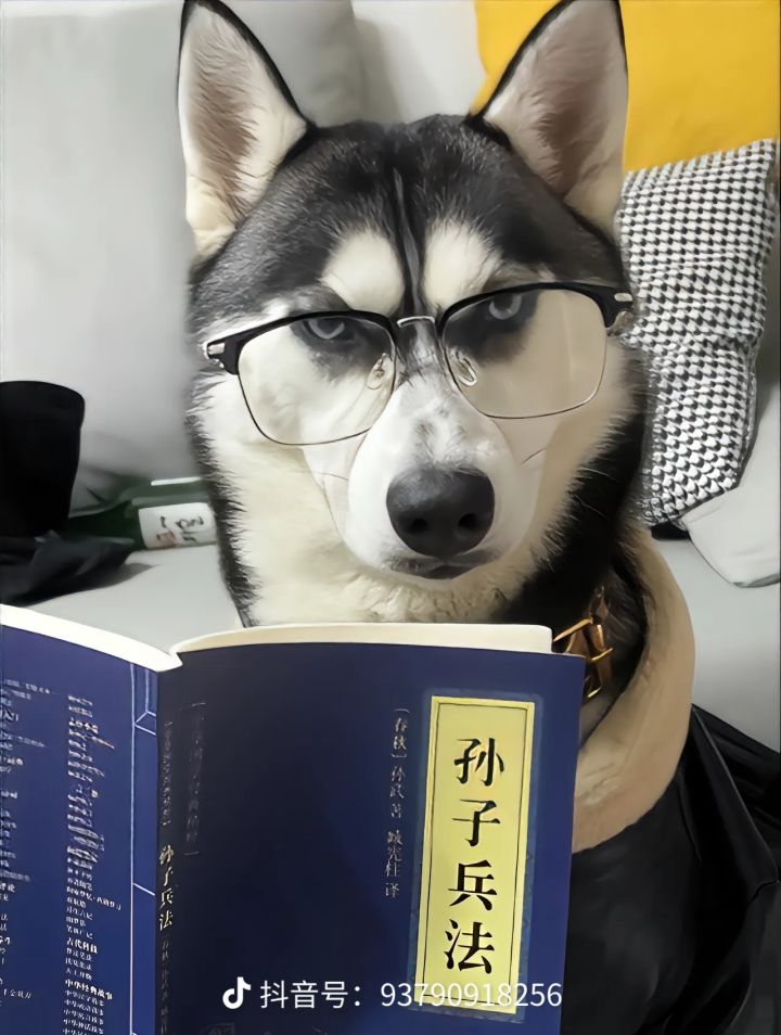 现在还可以入坑吗?截图