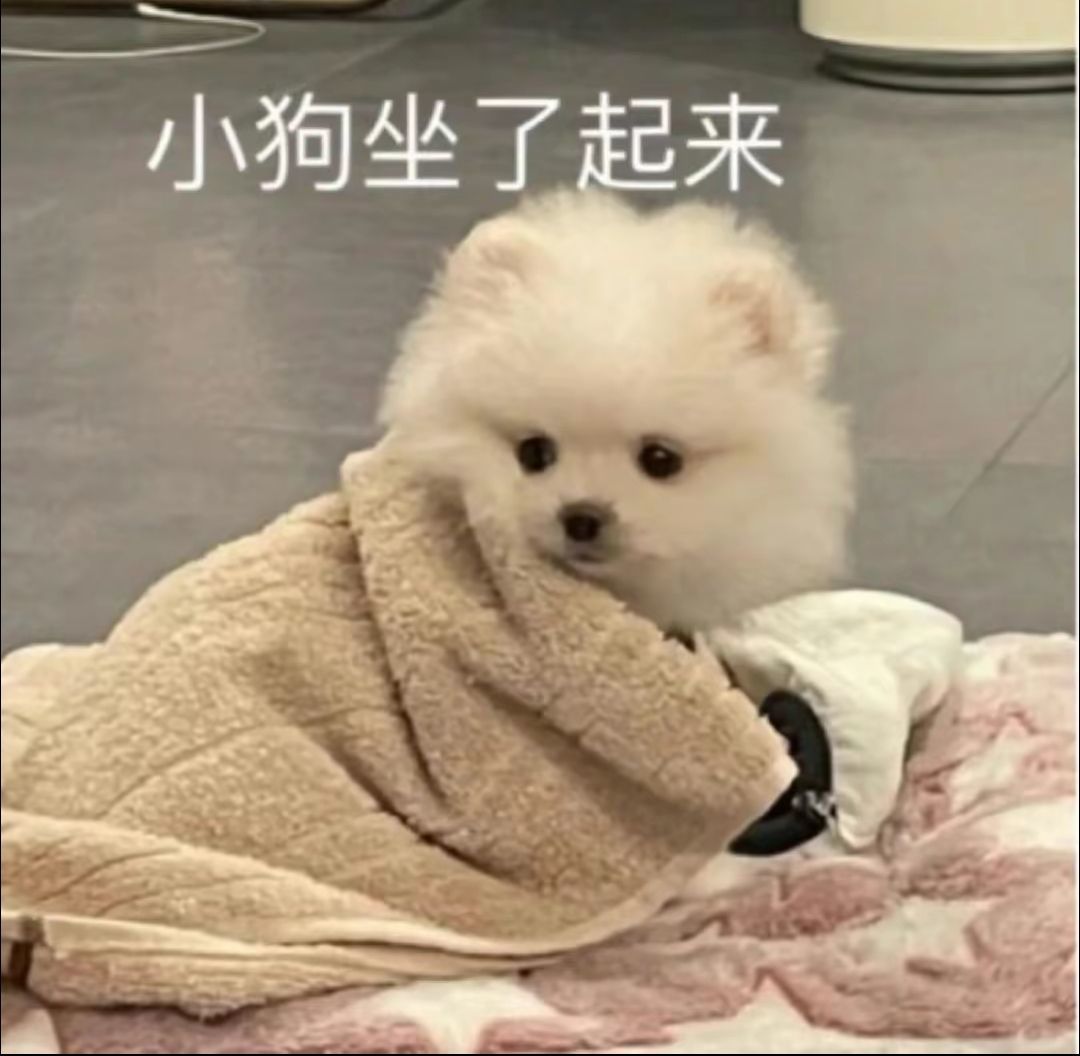 新赛季改动有点东西啊 1