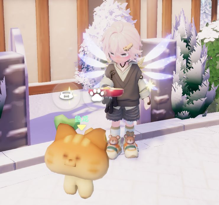 遛“猫” 1