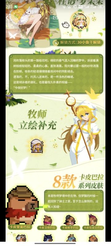 关于牧师立绘的个人及其他的看法