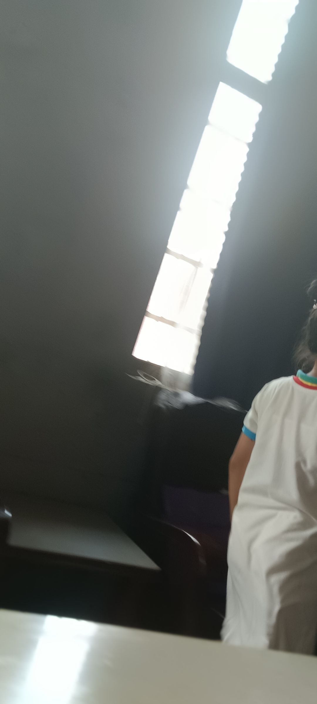 动态图片 13