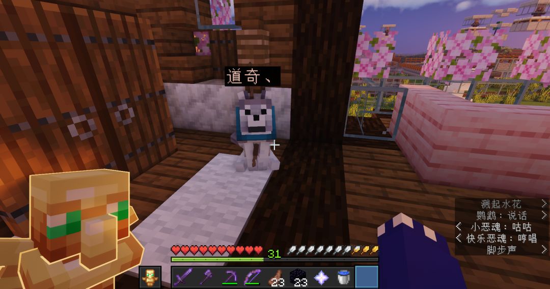my dog 1