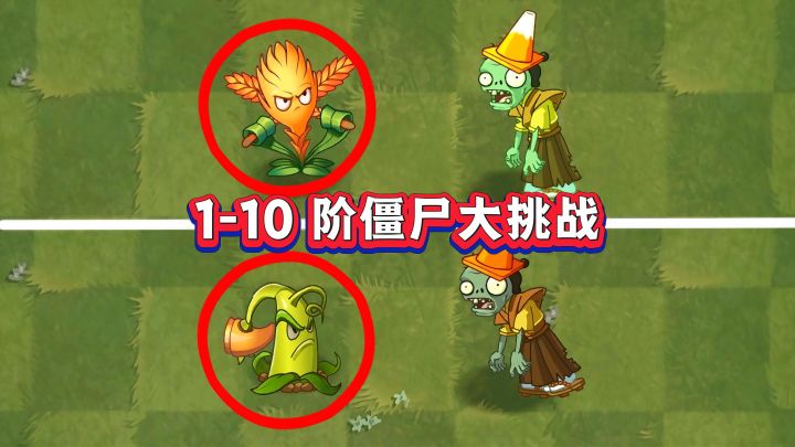 1-10阶僵尸挑战:凤梨链刃vs铁锤兰,谁能笑到最后?截图
