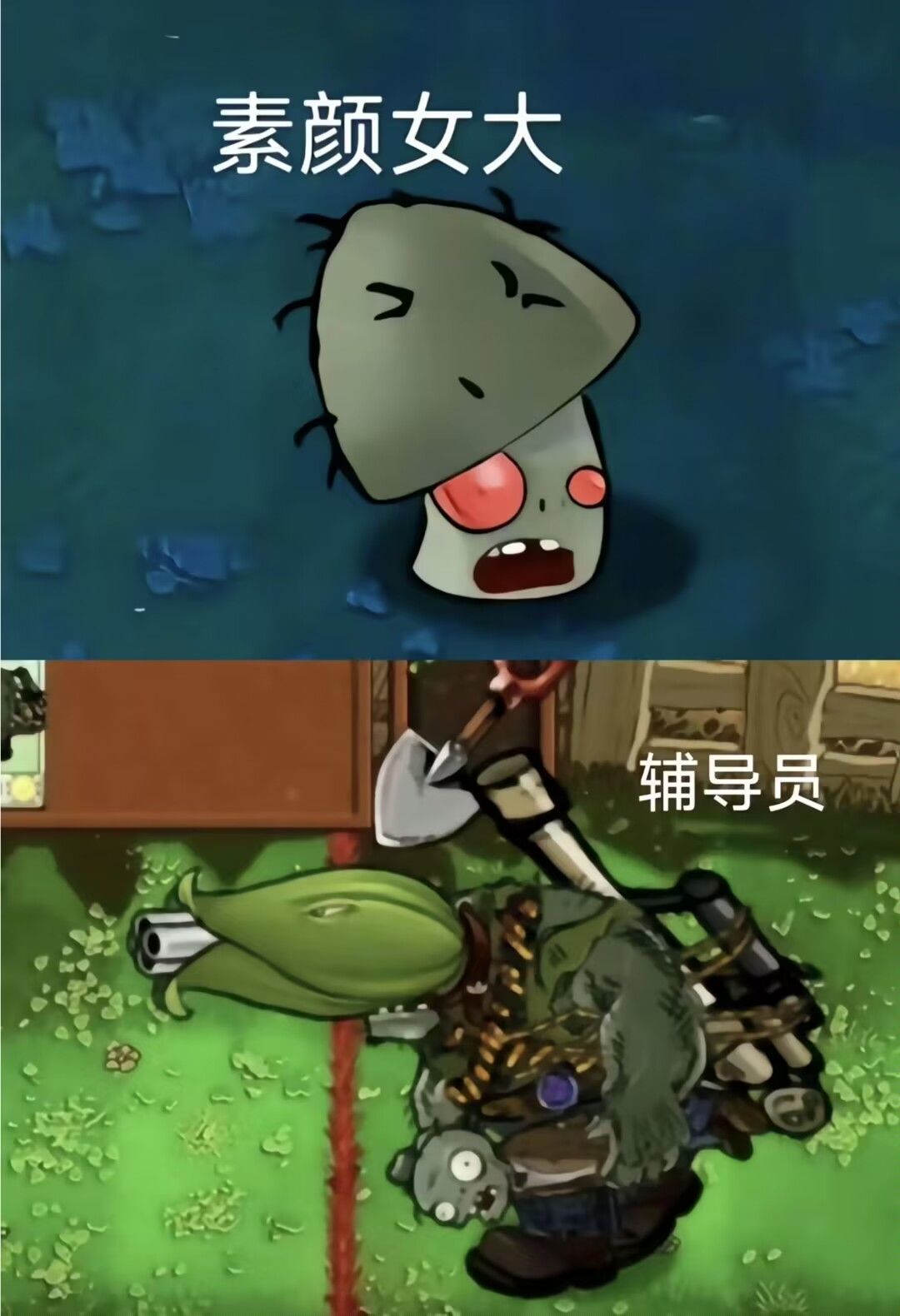 PVZ痛苦大学生系列植物一览😆 3