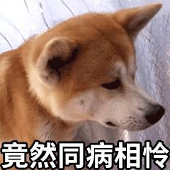 有谁知道 1