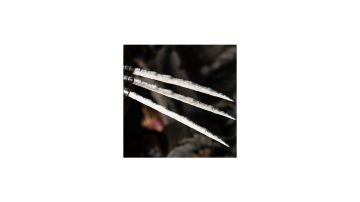 【紫色装备合成大赛】迟暮狼爪