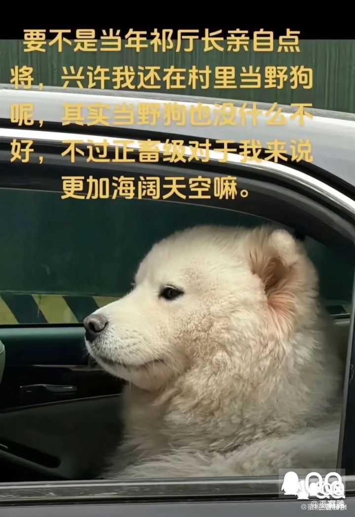 好阴间的更新时间截图