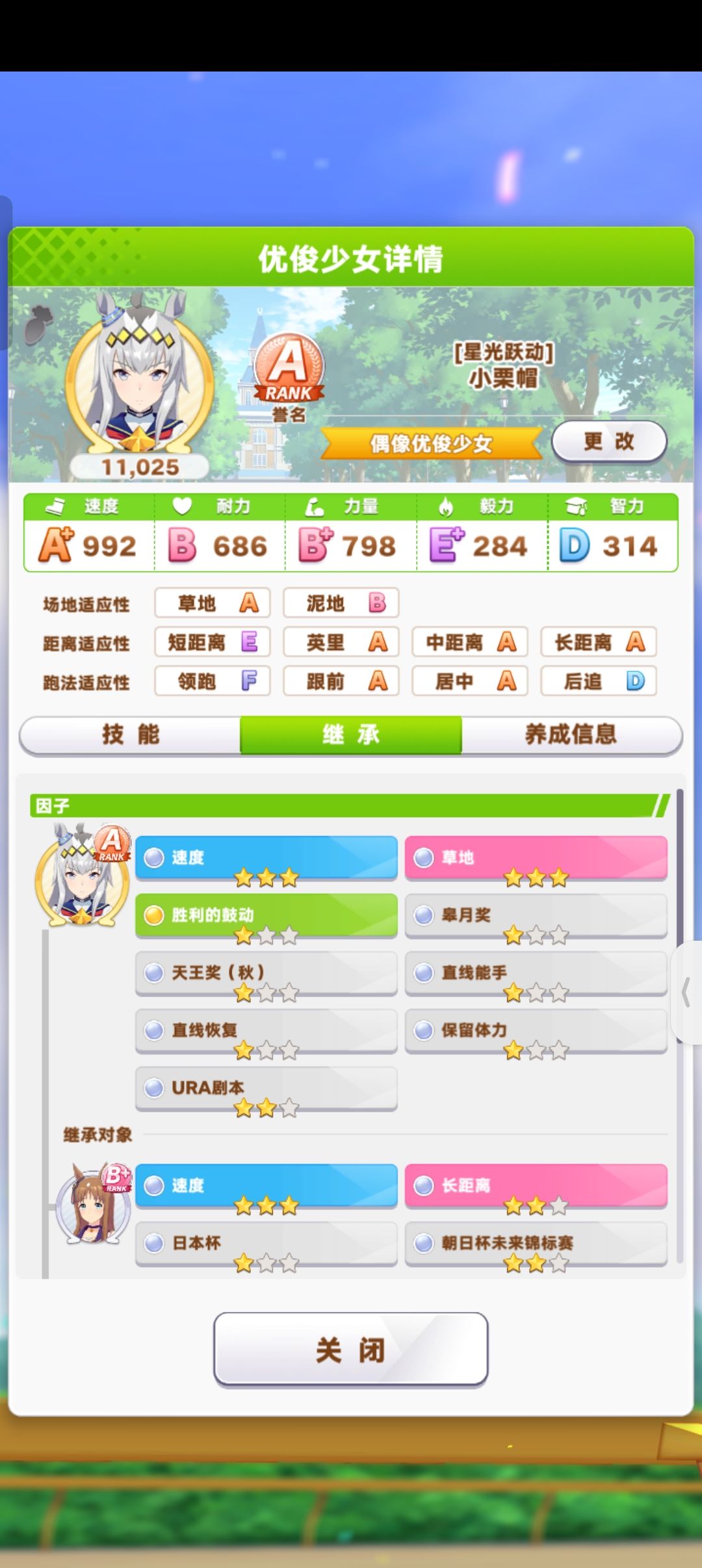 9星速度因子,30胜,小栗帽,ID:305047746682 5