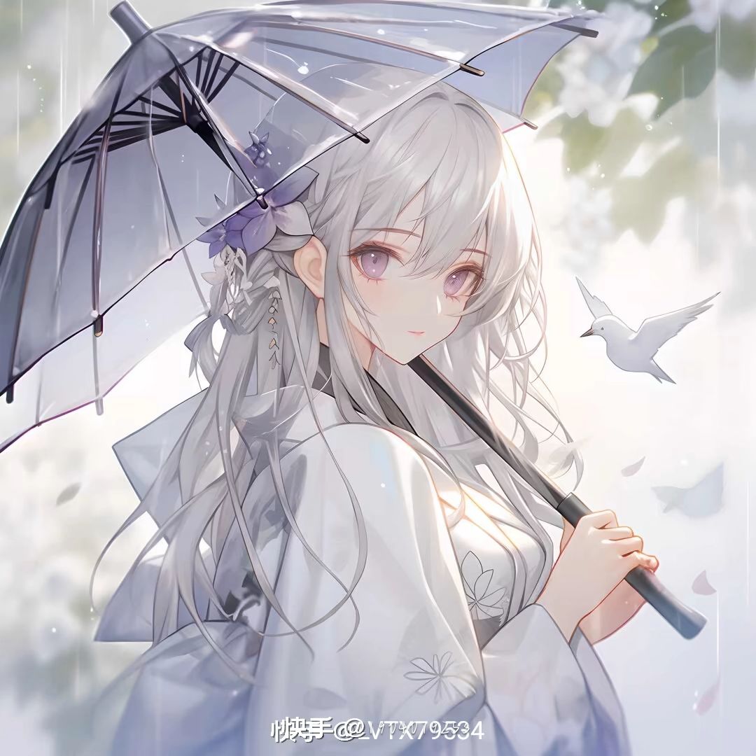 动态图片 13