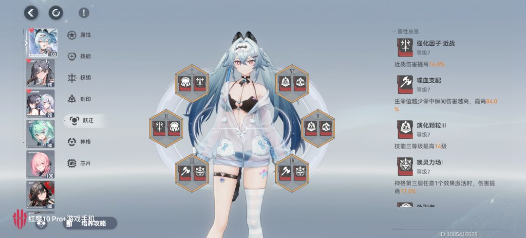 大佬们 3