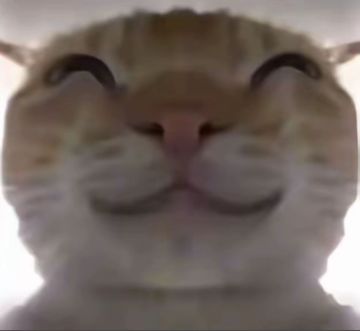 个人希望游戏需要改进的地方