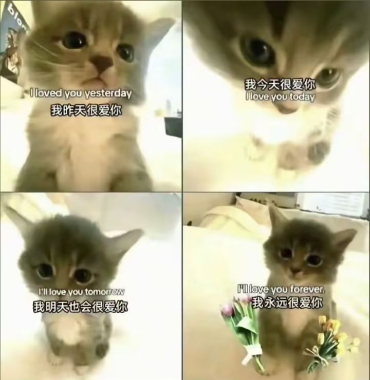 哥布林的回想截图