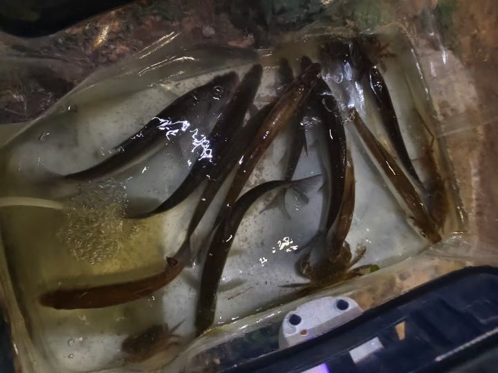 欢乐钓鱼大师鱼乐回忆录截图