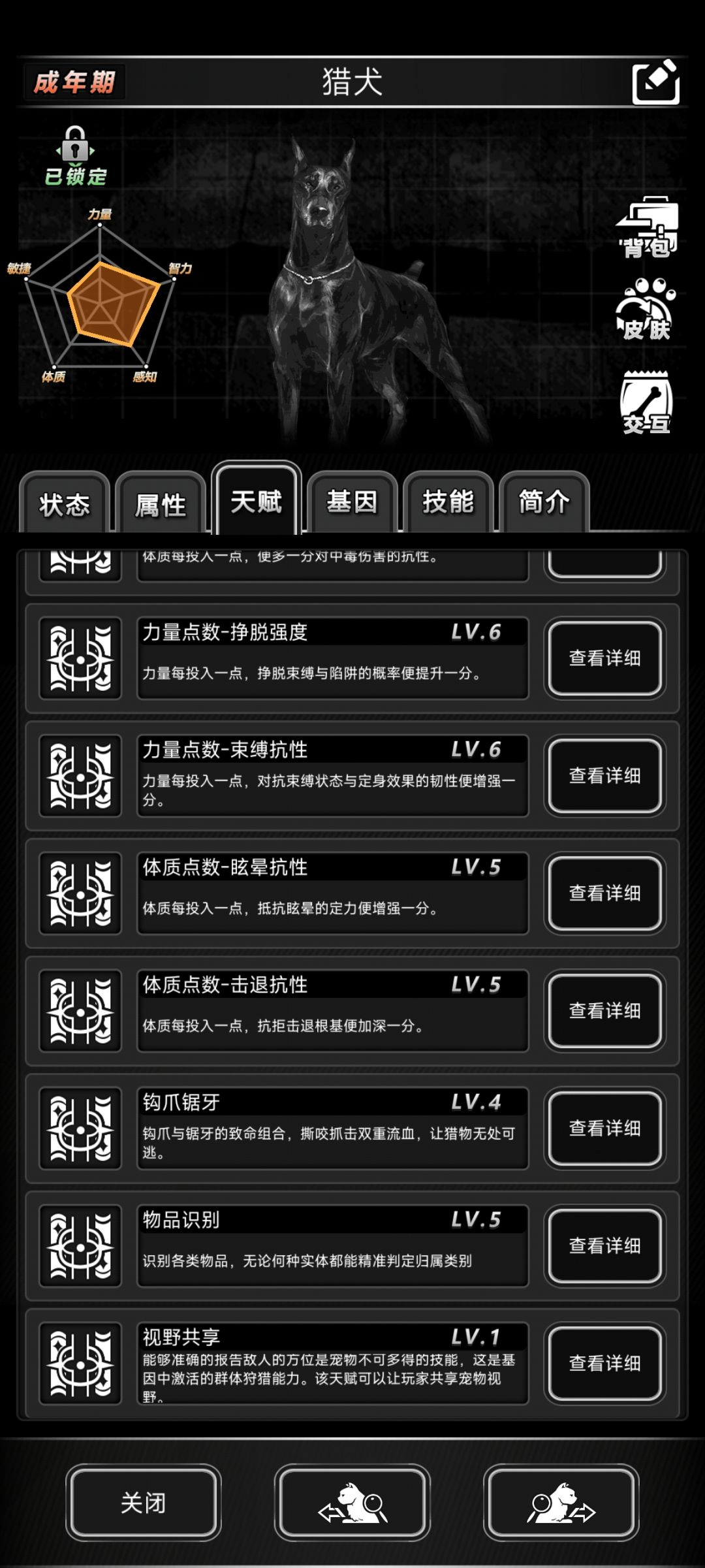 道爷的狗成了,但好像没什么卵用。 1