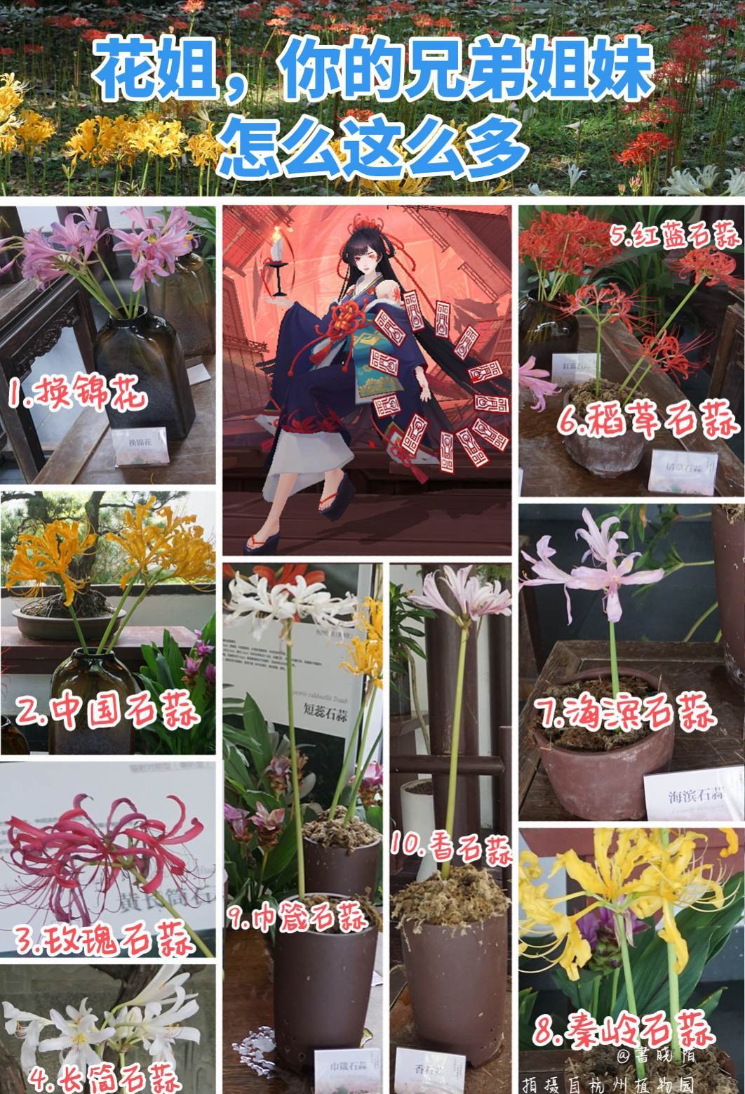 去植物园看花姐亲戚了~ 1