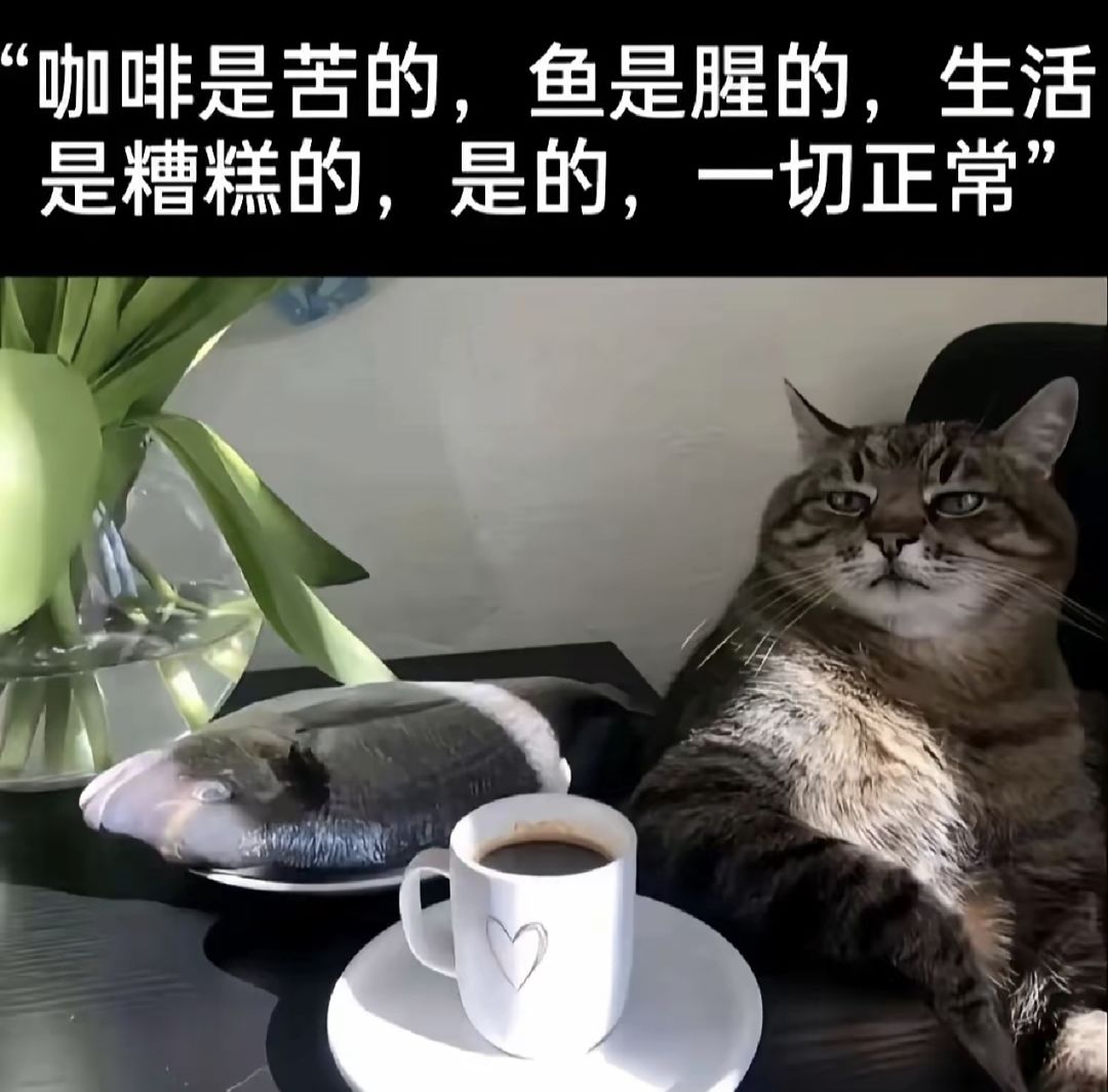 发一波梗图…(10) 2