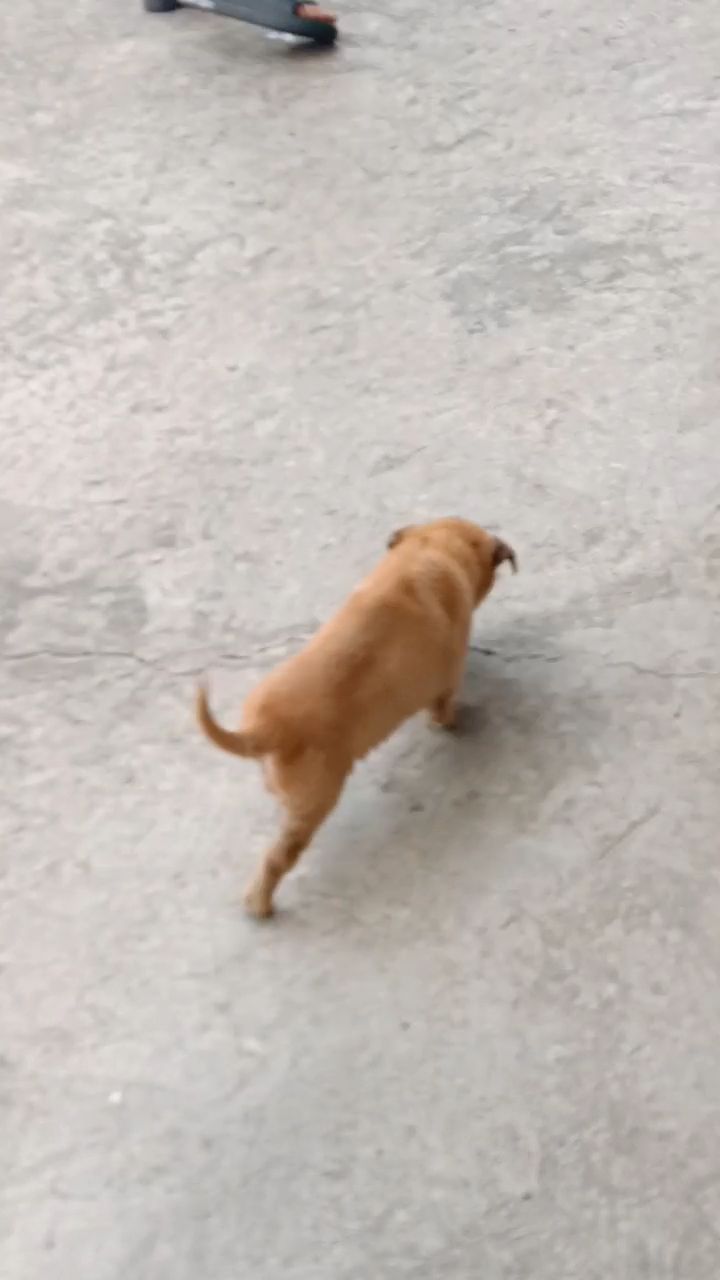 动态图片 3