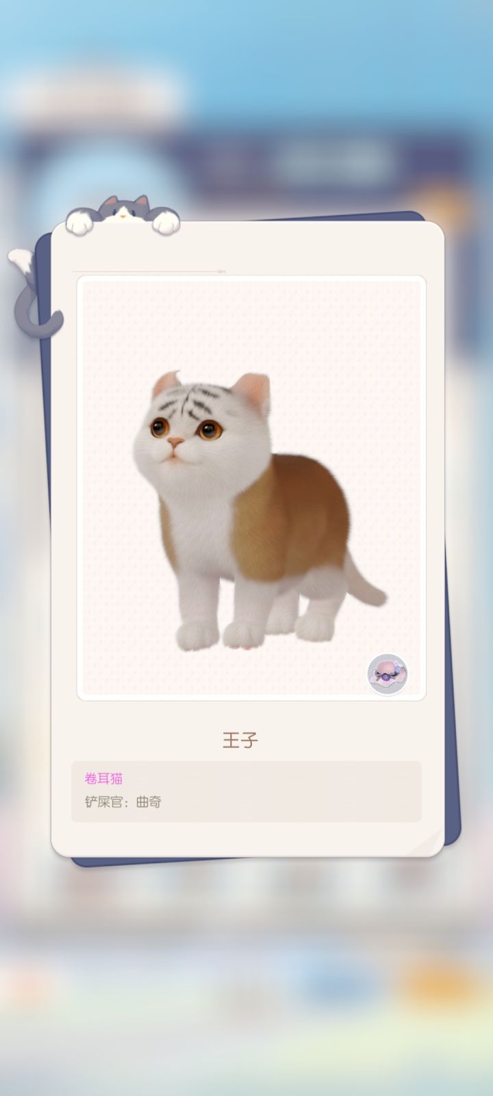 我家的三只宝贝截图