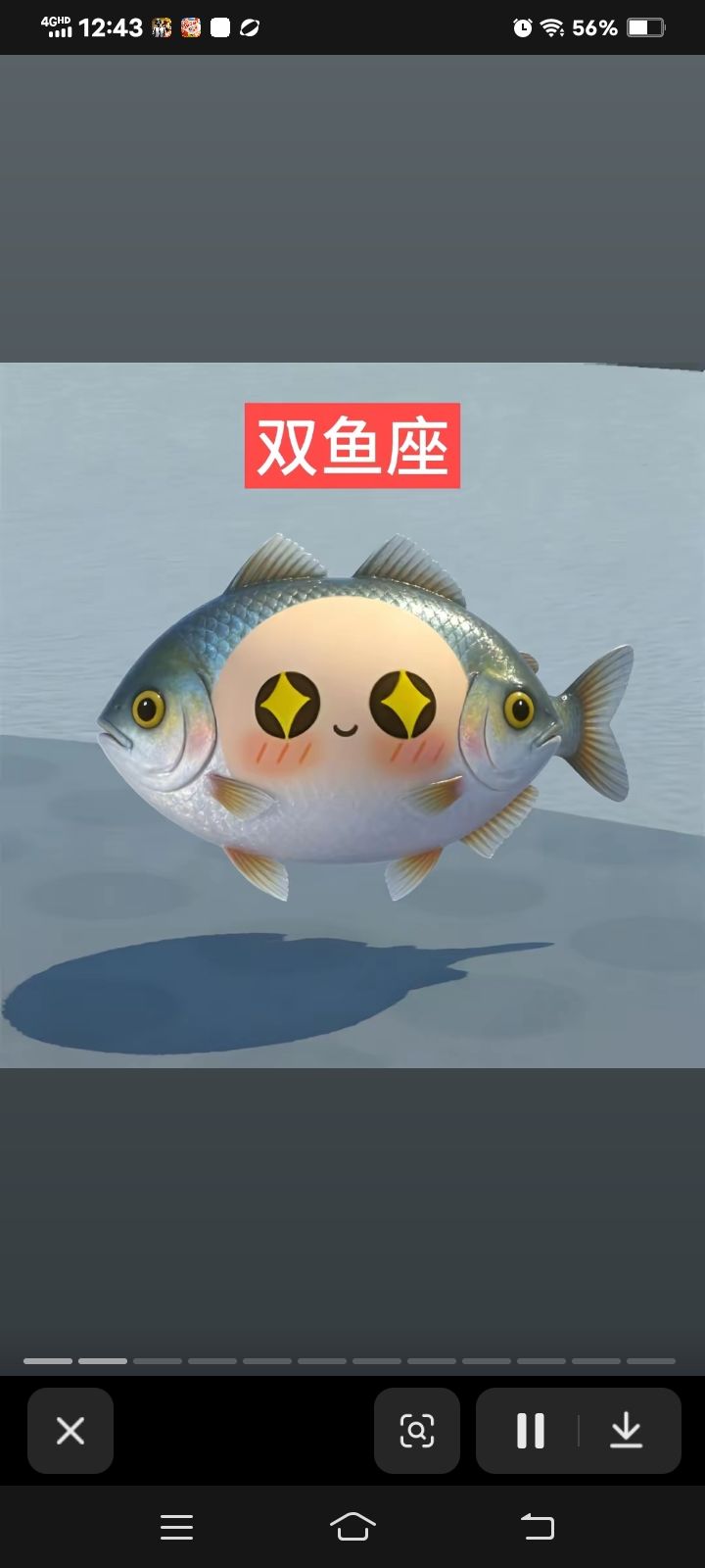 动态图片 11