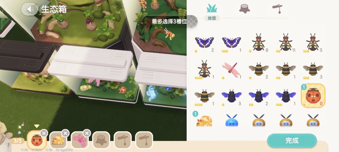 关于昆虫生态箱 2