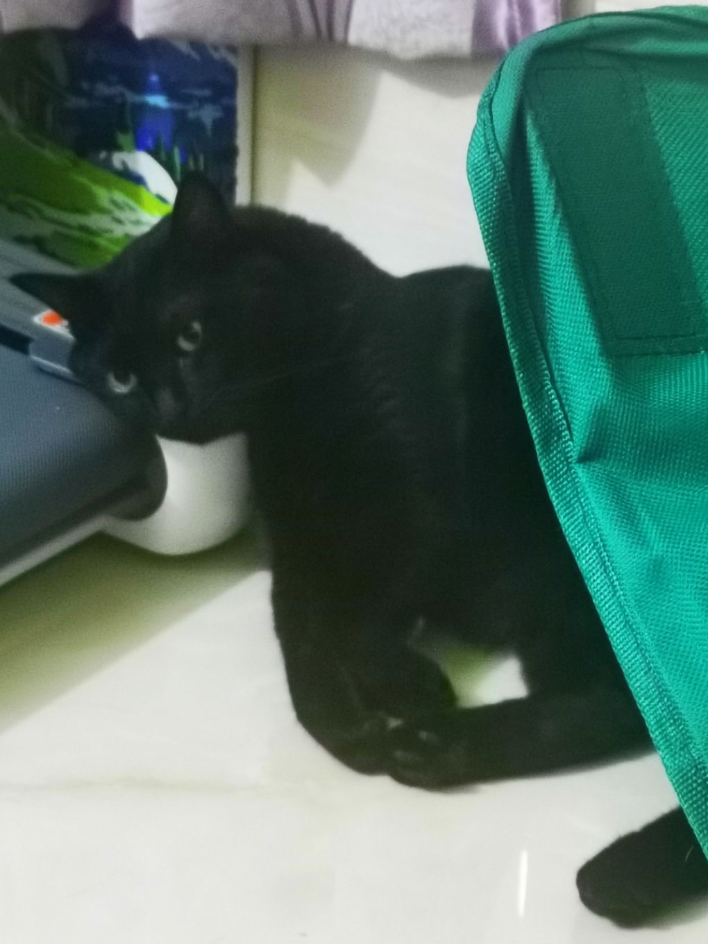 为什么这些APP能这么大 2