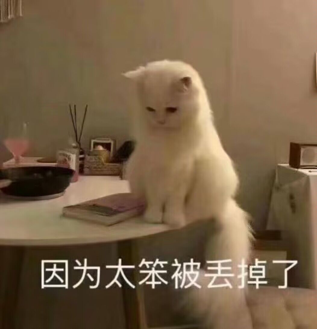 现阶段仙尊5以后或许可以把听课直接停了 2