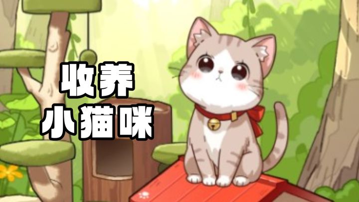 来收养小猫咪吧!从解救小猫到建一个温暖的家截图