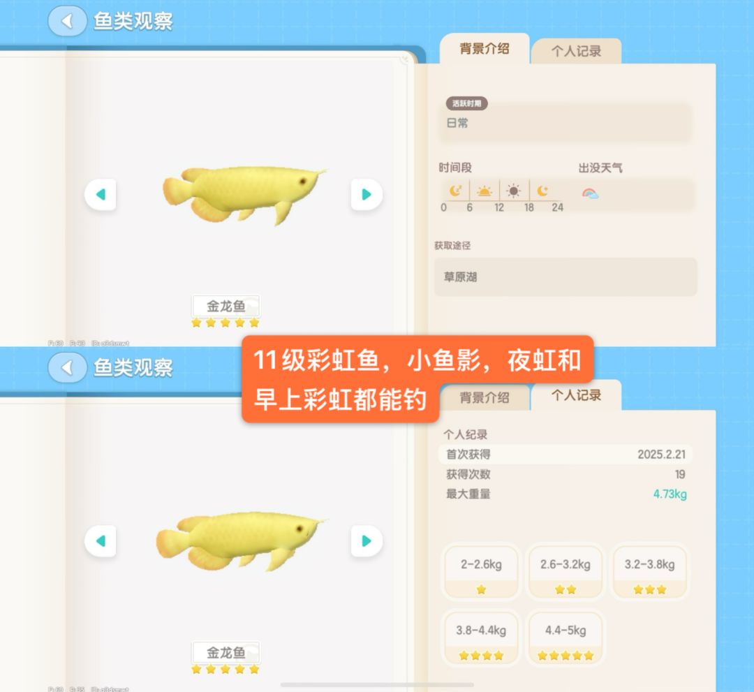 11-12级钓鱼满图鉴毕业，五星次数分享 3